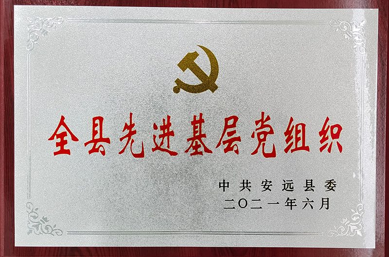 未标题-1.jpg